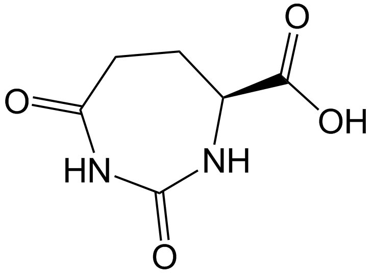 Carglumic Acid Related Compound B